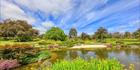 Japanese Garden - Cowra 